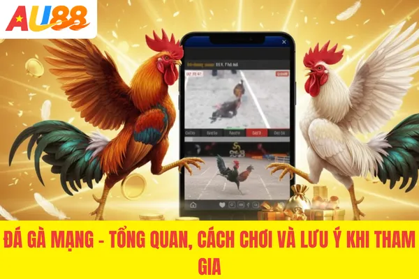 Đá Gà Mạng - Tổng Quan, Cách Chơi Và Lưu Ý Khi Tham Gia 2026