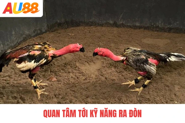 Quan tâm tới kỹ năng ra đòn
