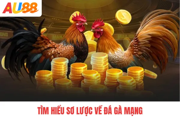 Tìm hiểu sơ lược về đá gà mạng