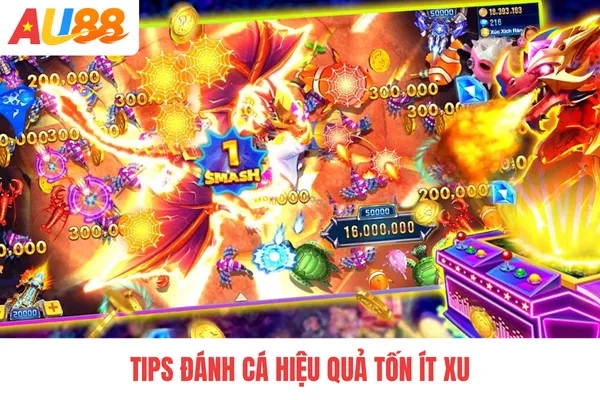 Tips đánh cá hiệu quả tốn ít xu